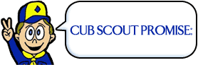 cub promise 
